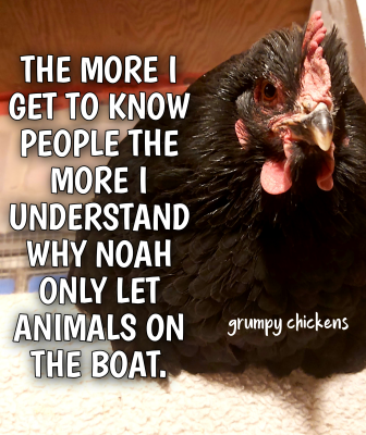 IMG_1641209396379.png