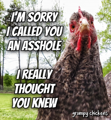 IMG_1607598591798.png