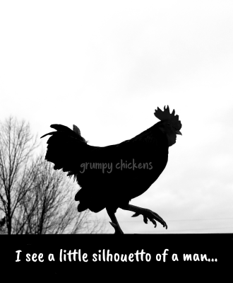 IMG_1637890256019.png