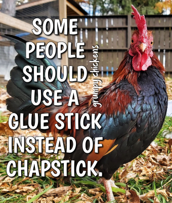 IMG_1633781396531.png