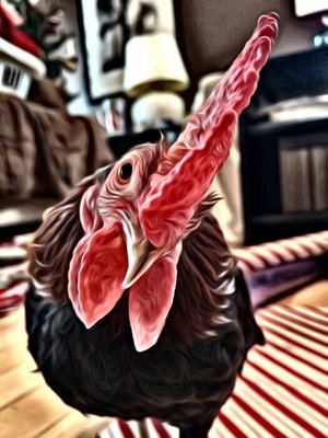 SuperPhoto_170716122616.jpg