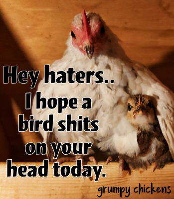created_image_1597801255558.png