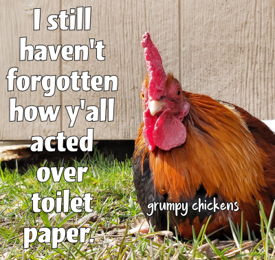 created_image_1588504384056.png