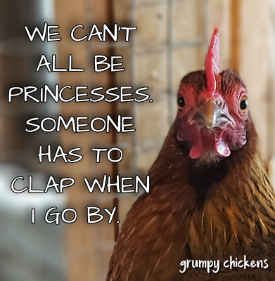 IMG_1606785872347.png