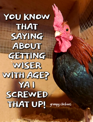 IMG_1645096158318.png
