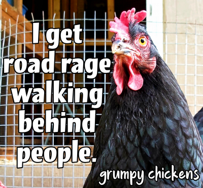 created_image_1597748917220.png