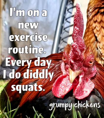 created_image_1588211361151.png