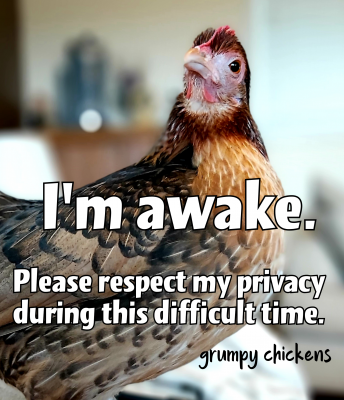 created_image_1587210452281.png