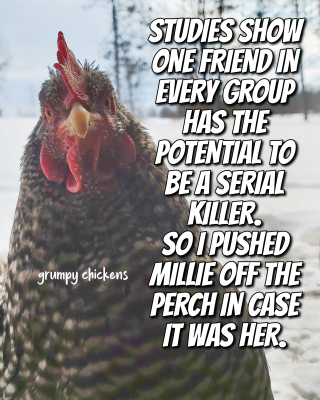 IMG_1644068310266.png