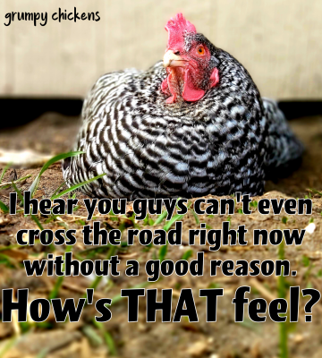 created_image_1587867280608.png