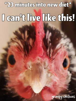 created_image_1587556133861.png