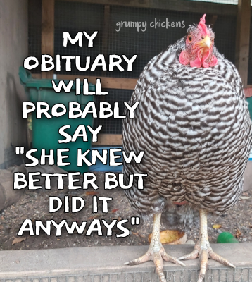 IMG_1637803770511.png