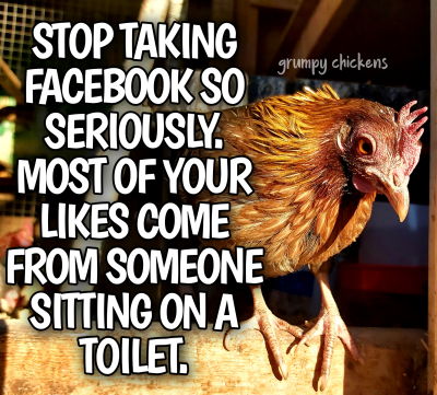 IMG_1639481659605.png