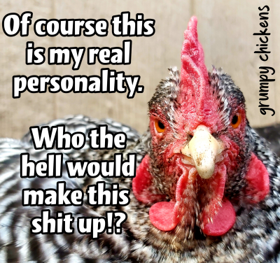 created_image_1598006015830.png