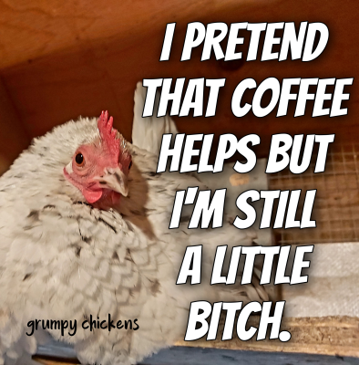 IMG_1645875831247.png