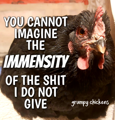 IMG_1638708379763.png