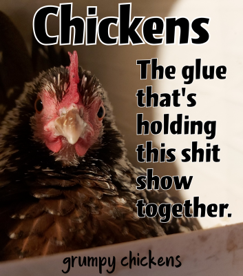 created_image_1587691940572.png