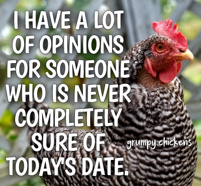 IMG_1632912070127.png