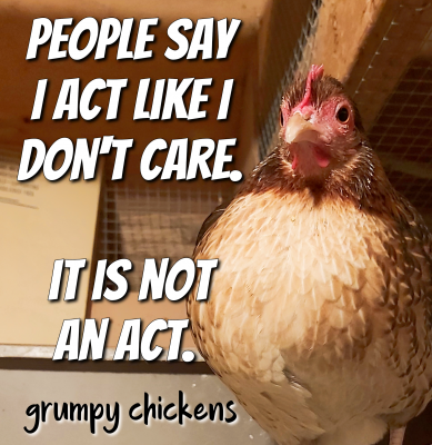 IMG_1607169937103.png