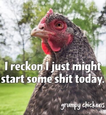 created_image_1591585959553.png
