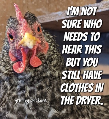 FB_IMG_1648550270301.jpg