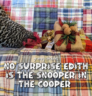 AddText_12-24-12.21.53.jpg