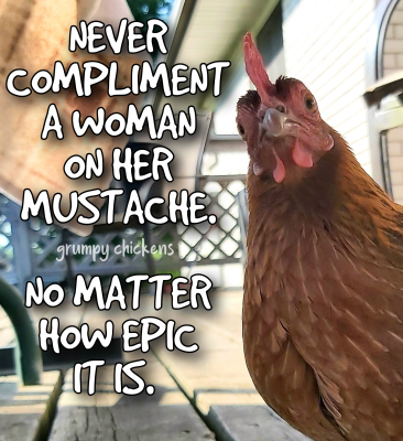 IMG_1644881932936.png