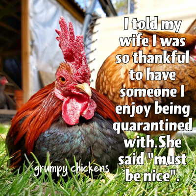 created_image_1588094484792.png