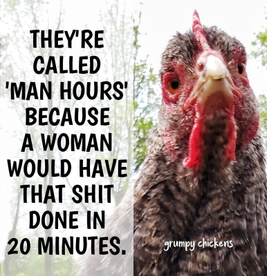 IMG_1637233747607.png
