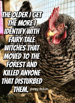 IMG_1645702083722.png