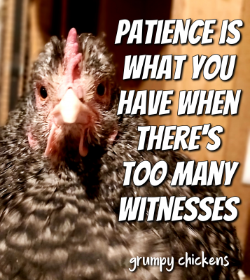 IMG_1611662521368.png