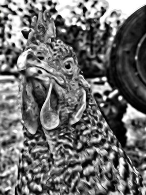 SuperPhoto_170716123920.jpg