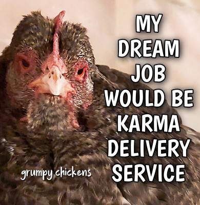 IMG_1644754242681.png