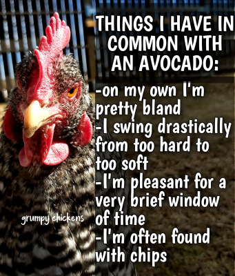 IMG_1640965472875.png