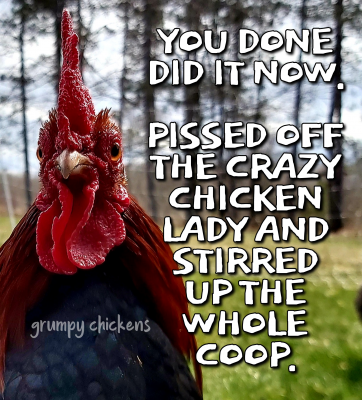 IMG_1634773869532.png