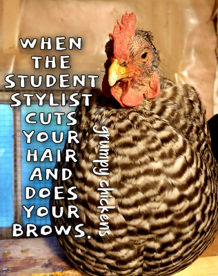 IMG_1633995551818.png