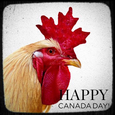 canadaday.jpg