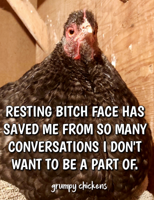 IMG_1612700778654.png