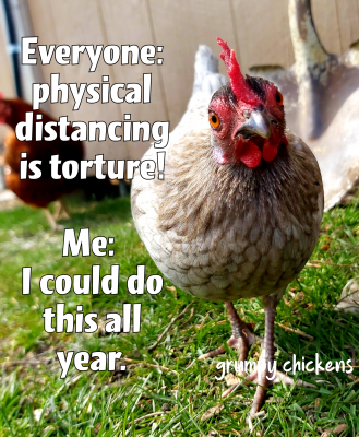 created_image_1588069238485.png