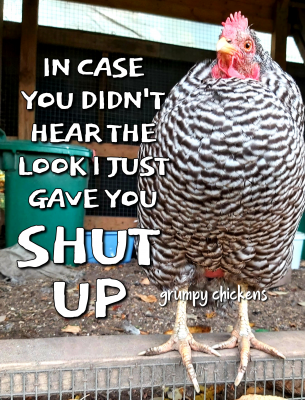 IMG_1633339718370.png