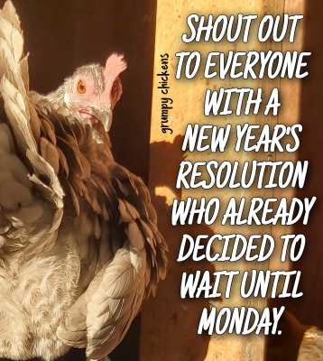 IMG_1641155173143.png