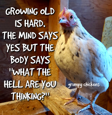IMG_1642159049893.png