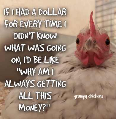 IMG_1639044174837.png