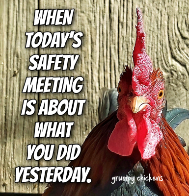 IMG_1646186819840.png