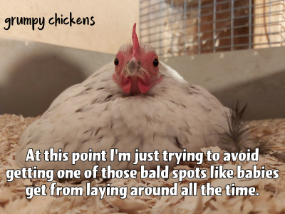 created_image_1587421493298.png