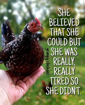 IMG_1633265561248.png