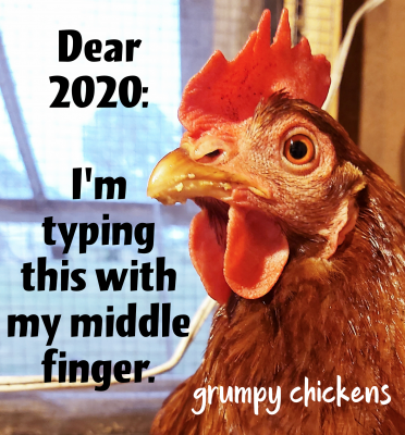 created_image_1597235520715.png