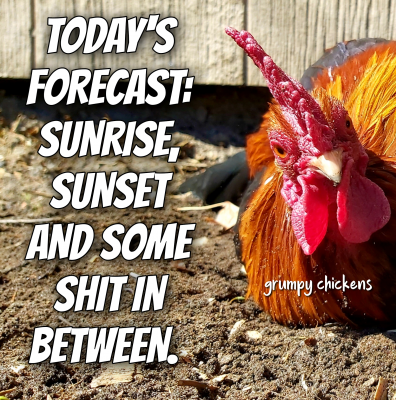 IMG_1636850774473.png