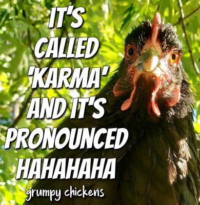 IMG_1606701119305.png