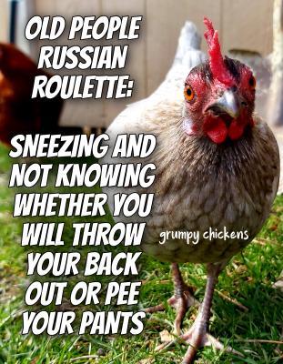 IMG_1636284269861.png